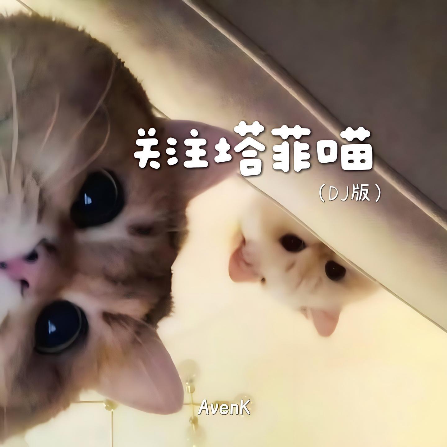 关注塔菲喵(DJ版）