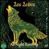 Los Lobos - I Can't Understand (Live)