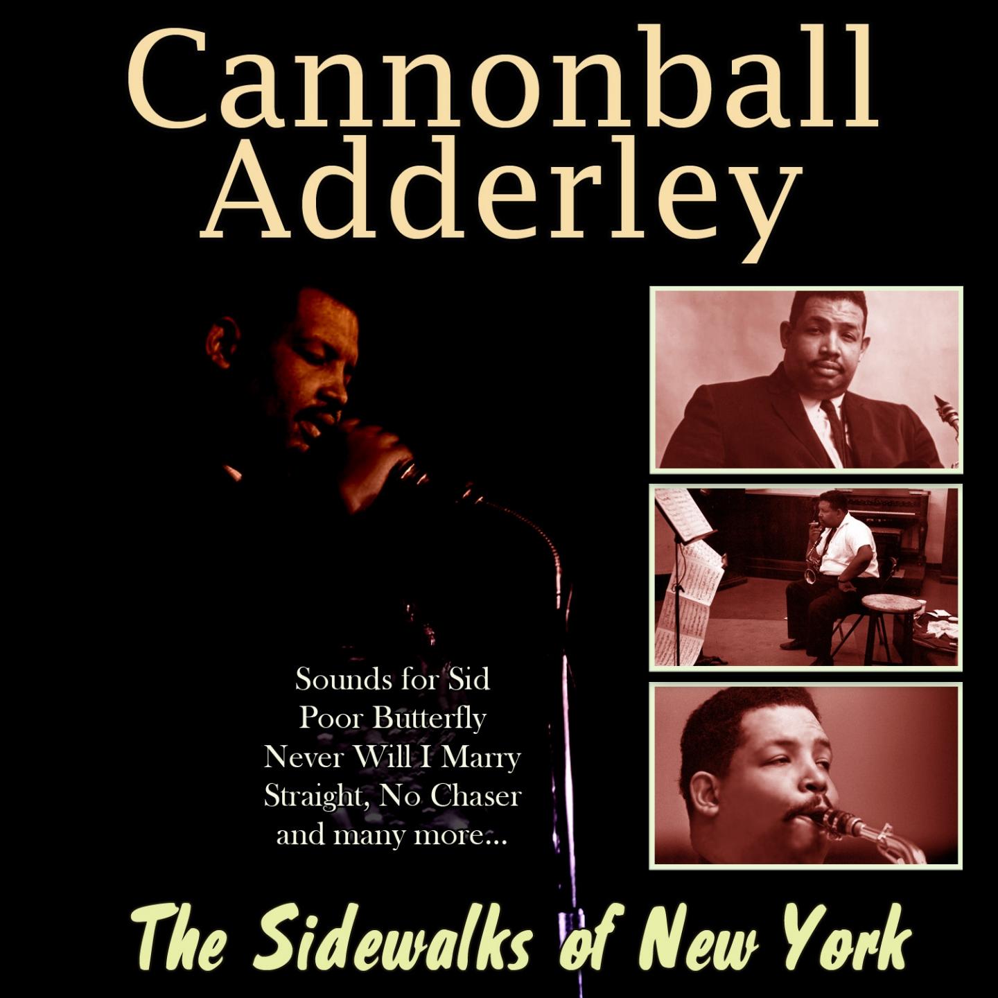 The Sidewalks of New York