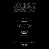 Johnny Hallyday - Gabrielle (karaoke)