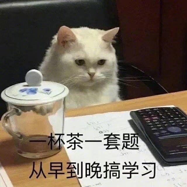 今天跑步了吗