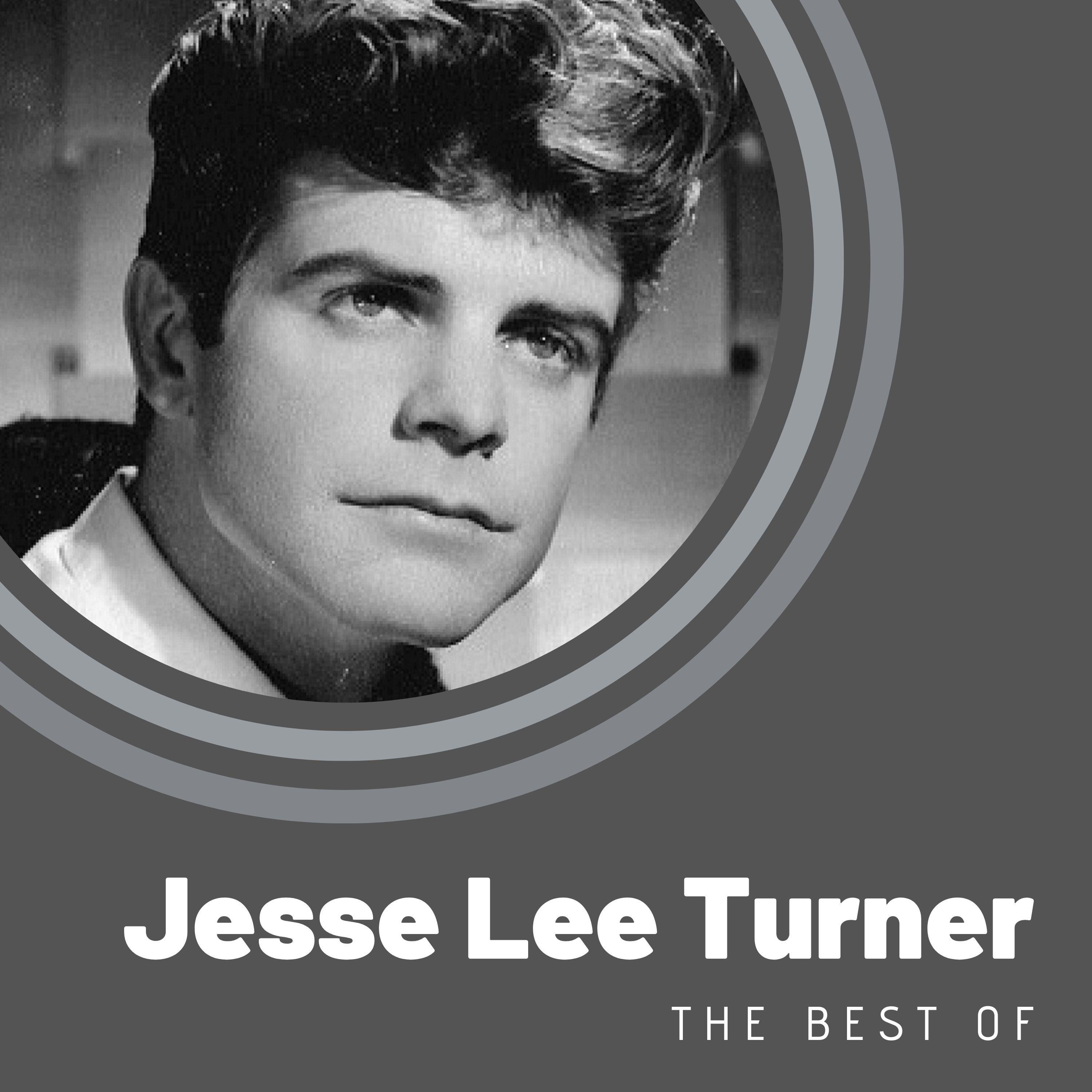 The Best of Jesse Lee Turner