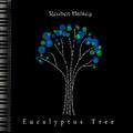 Eucalyptus Tree