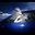 衔枝之白鸽