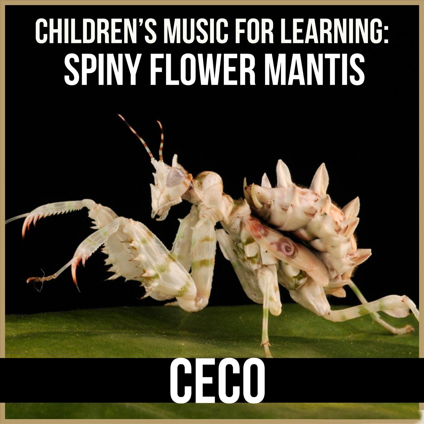 Children's Music for Learning: Spiny Flower Mantis