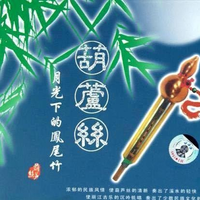 多情的巴乌降B伴奏郑州滇乐葫芦丝坊