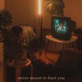 never meant to hurt you (acoustic)