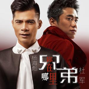 Lf兄弟&杨海彪-今晚就喝这些酒  立体声伴奏 （降8半音）