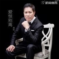 原版伴奏 《爱恨别离》-海纳-伴奏