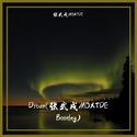 Drown (张武戌MOXTDE Bootleg)