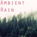 2017 Ambient Rain Collection