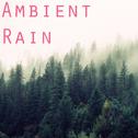 2017 Ambient Rain Collection专辑