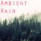 2017 Ambient Rain Collection专辑