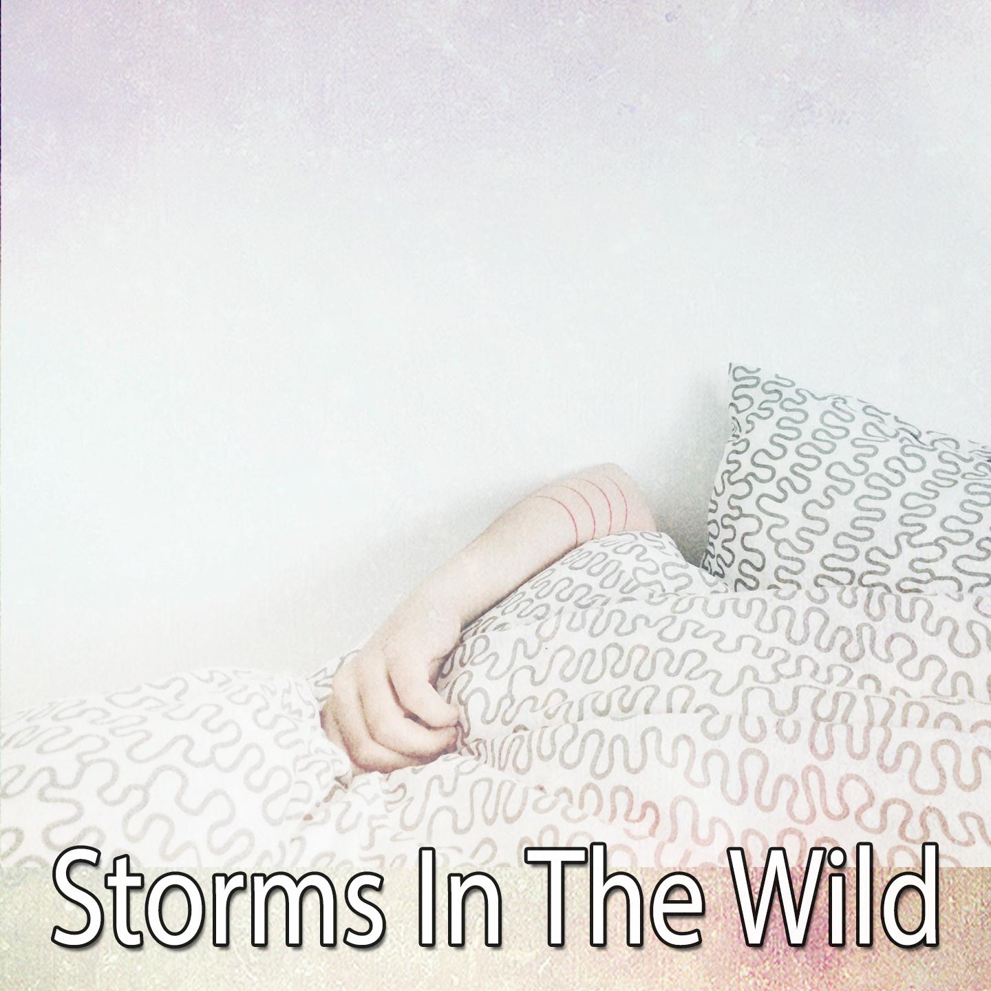 Storms In The Wild专辑