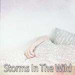 Storms In The Wild专辑