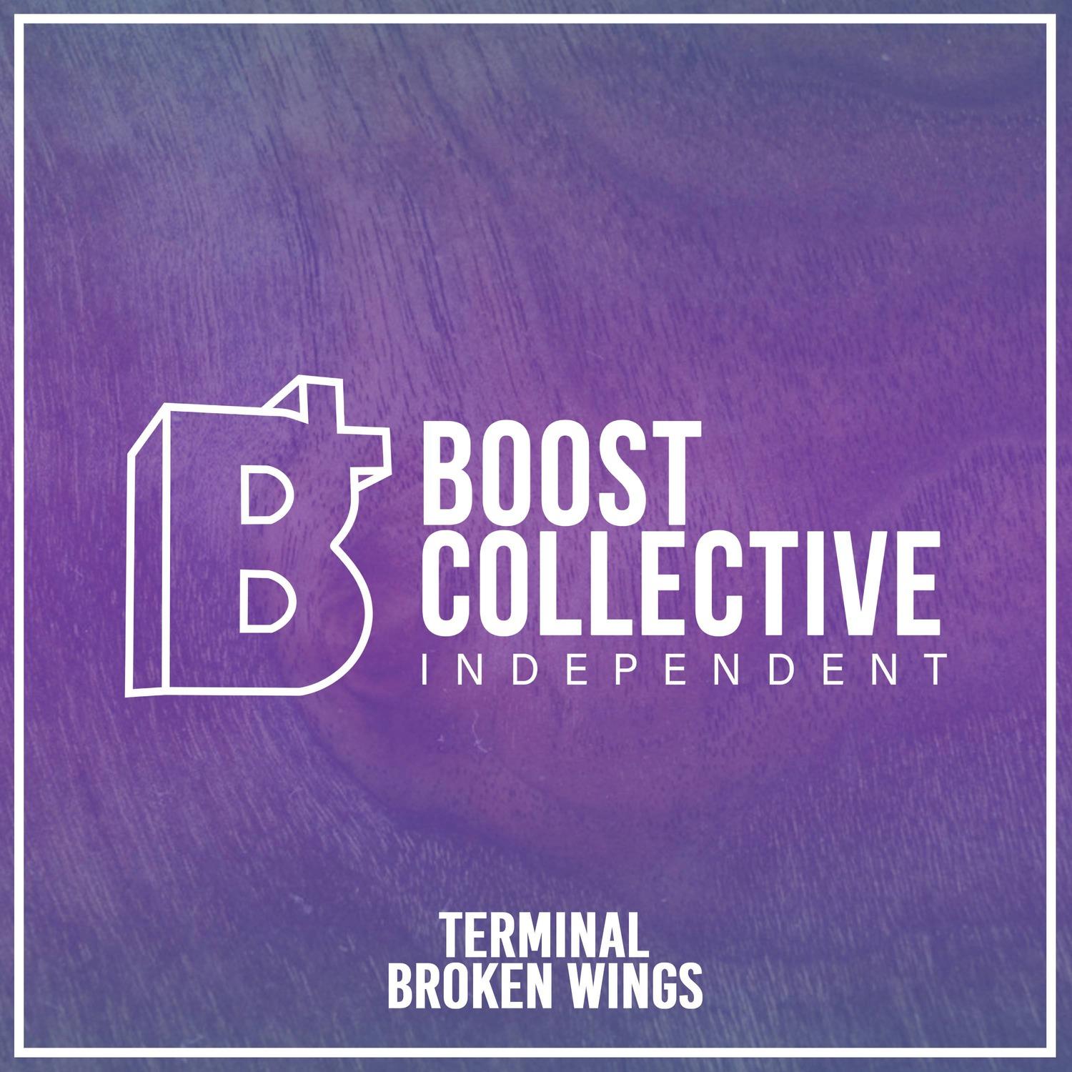 Broken Wings
