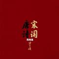 唐诗宋词-RNB版