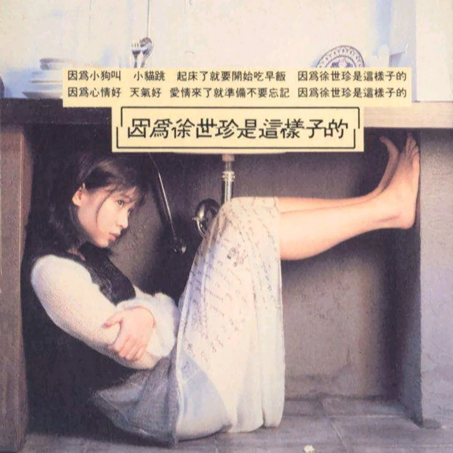 因为徐世珍是这样子的