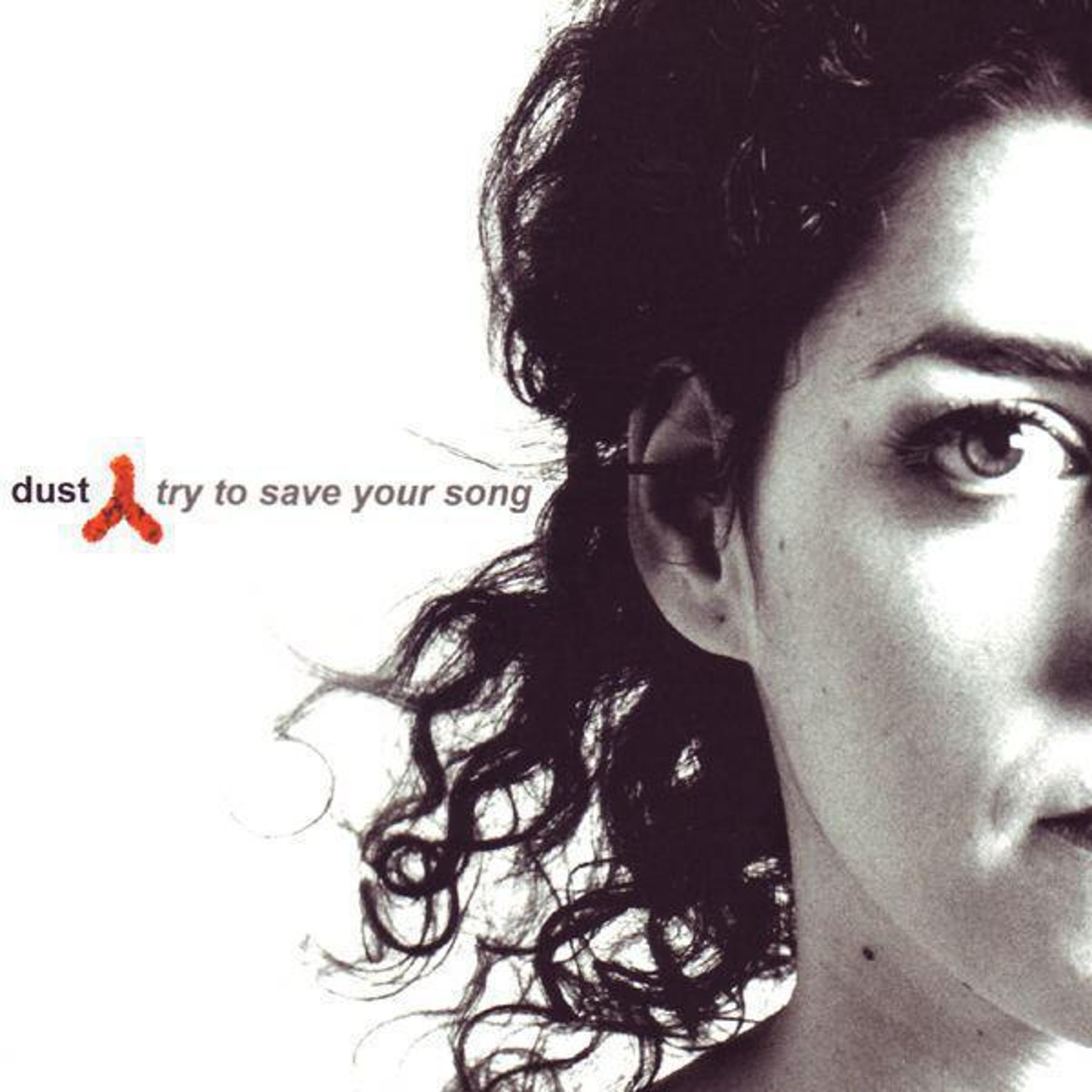 Try To Save Your Song