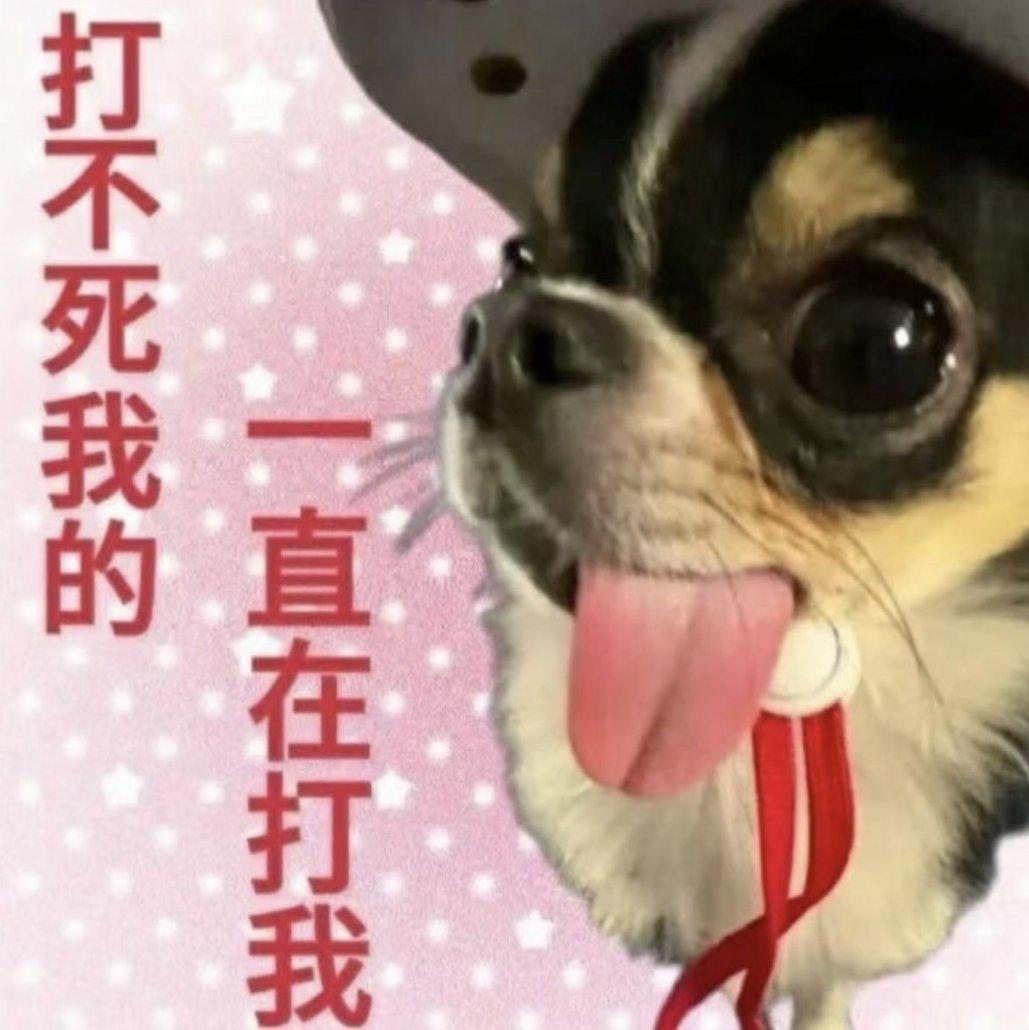 不断更新的歌单 | 在线播放 | 网易云音乐