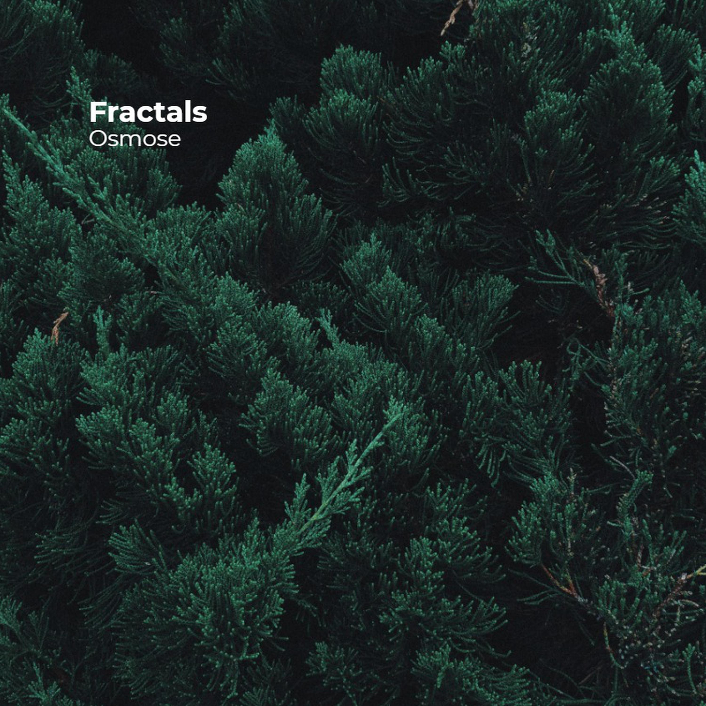 Fractals