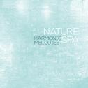 Nature Spa Harmonic Melodies: New Age Nature 2019 Music for Spa Salon, Wellness, Aromatherapy, Massa专辑