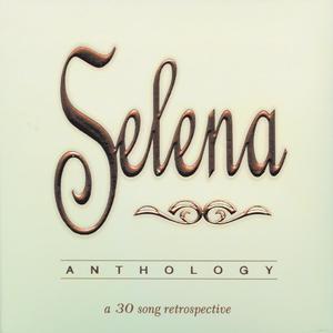 Selena - I'm Getting Used To You (Karaoke) 带和声伴奏