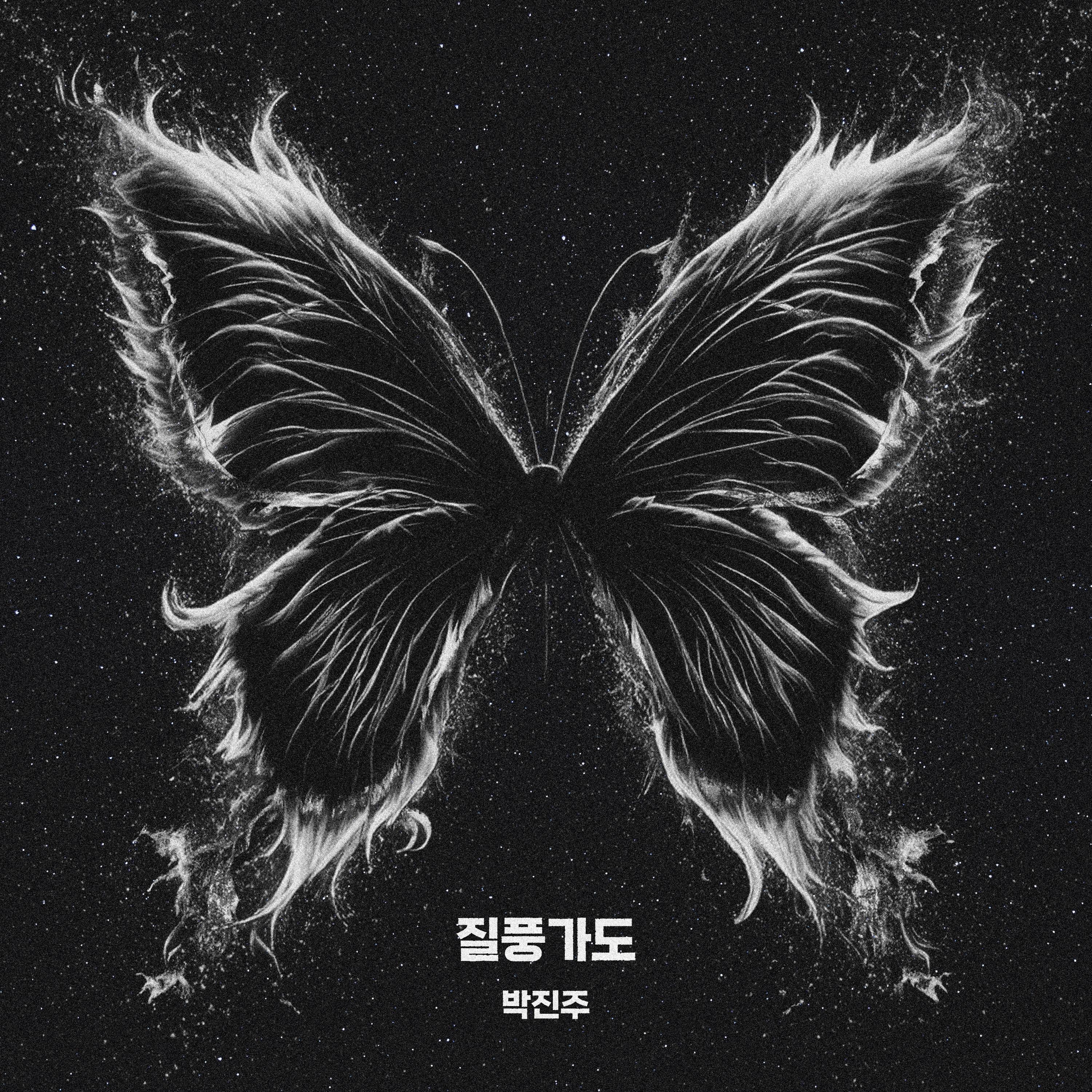 질풍가도