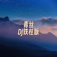 青丝（DJ铁柱版）