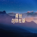 青丝（DJ铁柱版）专辑