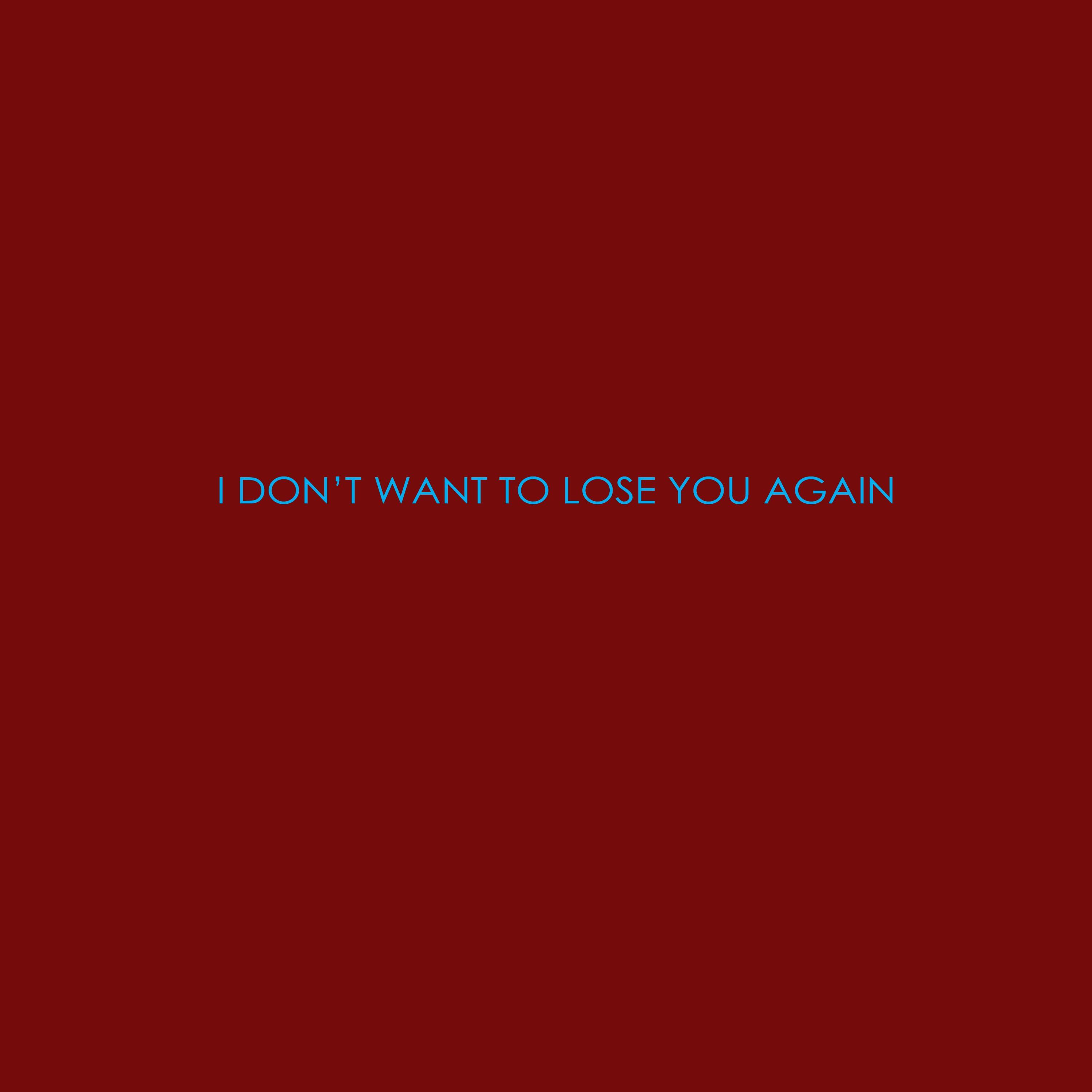 I Don't Want to Lose You Again