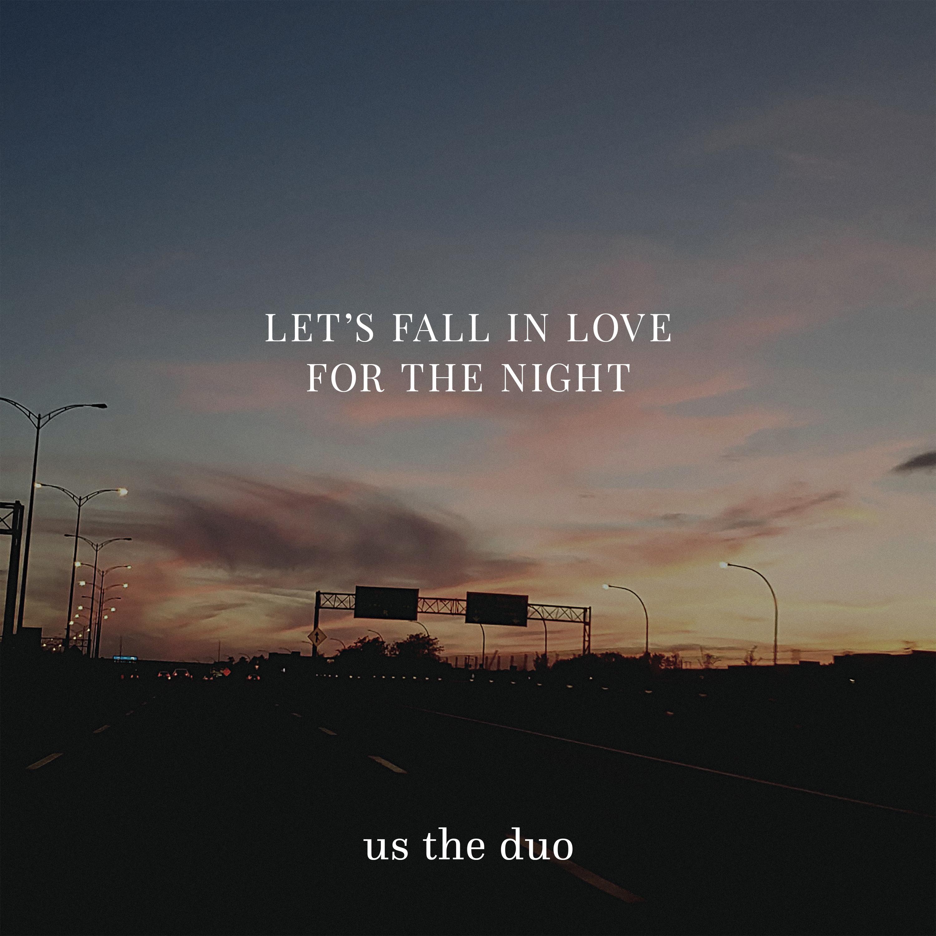 Let's Fall in Love for the Night