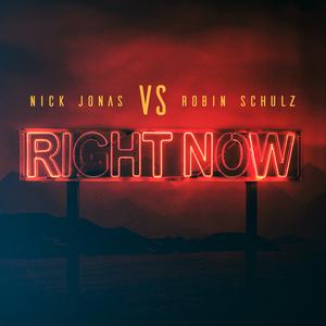 Right Now - Nick Jonas and Robin Schulz (Pro Karaoke) 带和声伴奏 （升5半音）