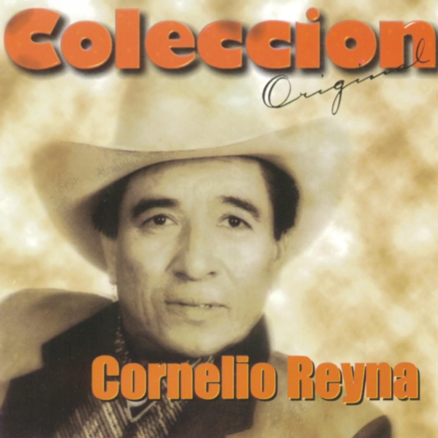 Cornelio Reyna - Me Caí de la Nube