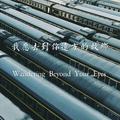 我愿去到你远方的故乡(Wandering Beyond Your Eyes)