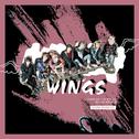 ◤SdM◢ 〓 Wings专辑