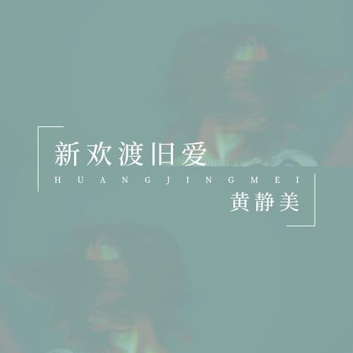 新欢渡旧爱 (DJHouse版)