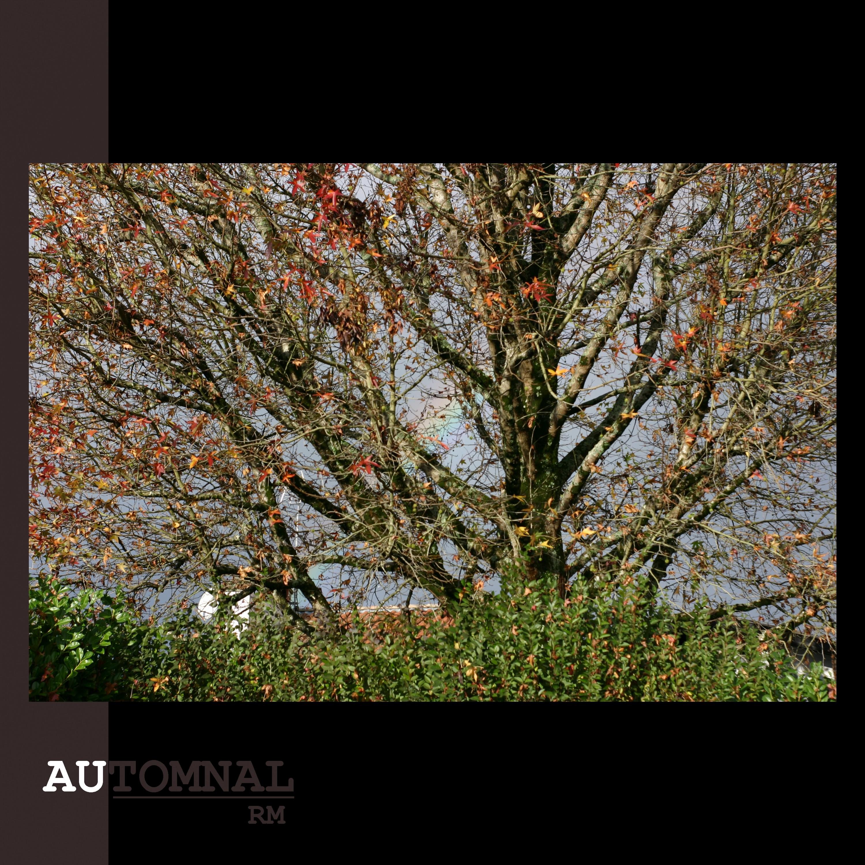 Automnal专辑