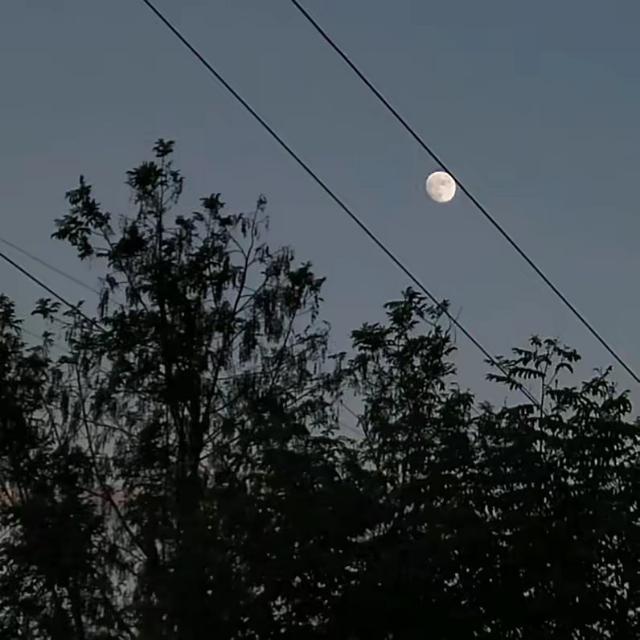 起风了【remix】