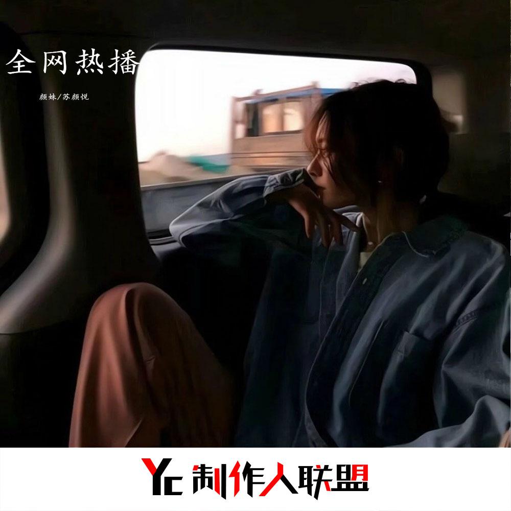 全网热播