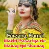 Farzana - Shanay Ya De Kapray sra datsan ki Me Ledalya da