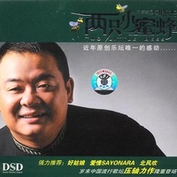 李晓杰 - 又唱艳阳天(原版伴奏)