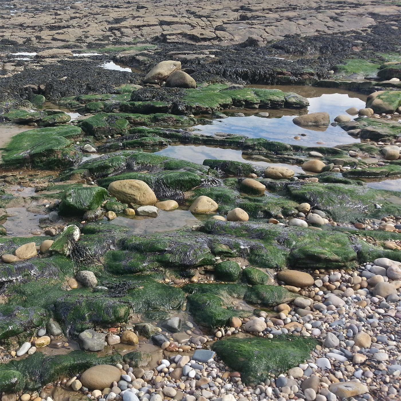 The Spooky Beach