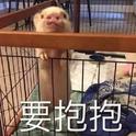 不喝奶的奶汁