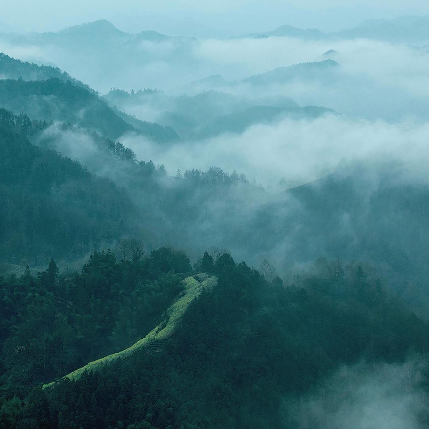 渔舟唱晚 养生音乐消除疲劳解压去燥