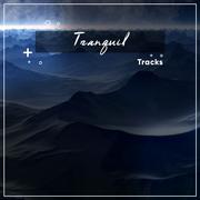 #2018 Tranquil Tracks for Meditation and Sleep