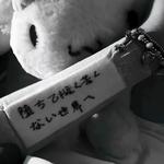 有限时间无限爱你专辑