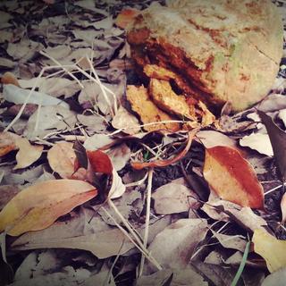 放下说、凡尘中不带回忆