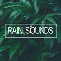 Rain Sounds