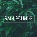 Rain Sounds专辑